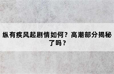 纵有疾风起剧情如何？高潮部分揭秘了吗？