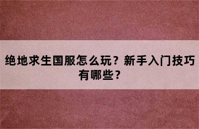 绝地求生国服怎么玩？新手入门技巧有哪些？