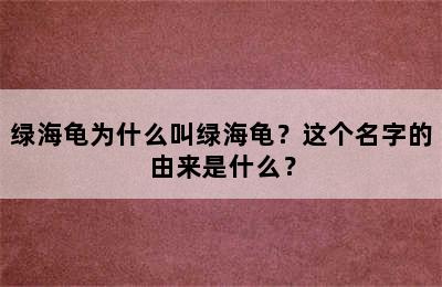 绿海龟为什么叫绿海龟？这个名字的由来是什么？