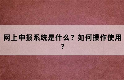 网上申报系统是什么？如何操作使用？