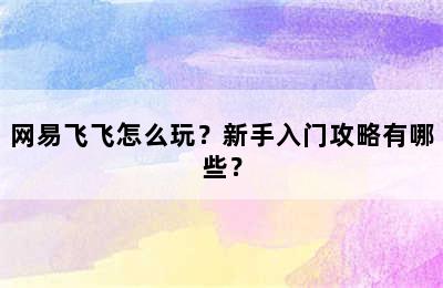 网易飞飞怎么玩？新手入门攻略有哪些？