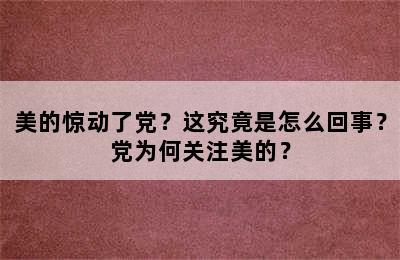 美的惊动了党？这究竟是怎么回事？党为何关注美的？