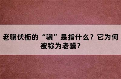 老骥伏枥的“骥”是指什么？它为何被称为老骥？