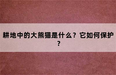 耕地中的大熊猫是什么？它如何保护？