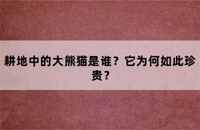 耕地中的大熊猫是谁？它为何如此珍贵？