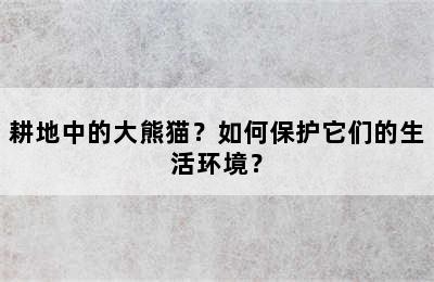 耕地中的大熊猫？如何保护它们的生活环境？