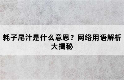 耗子尾汁是什么意思？网络用语解析大揭秘