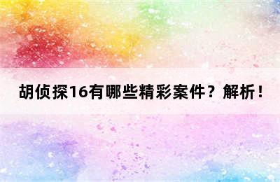 胡侦探16有哪些精彩案件？解析！