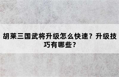 胡莱三国武将升级怎么快速？升级技巧有哪些？