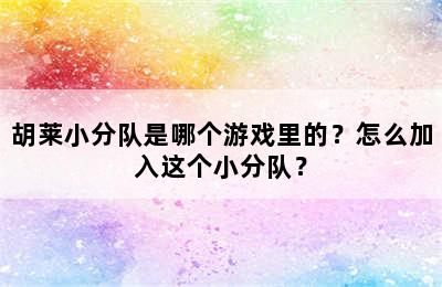 胡莱小分队是哪个游戏里的？怎么加入这个小分队？