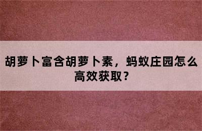 胡萝卜富含胡萝卜素，蚂蚁庄园怎么高效获取？