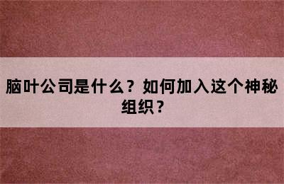 脑叶公司是什么？如何加入这个神秘组织？