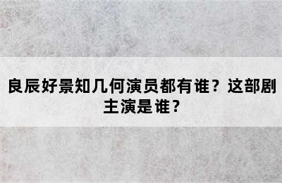 良辰好景知几何演员都有谁？这部剧主演是谁？