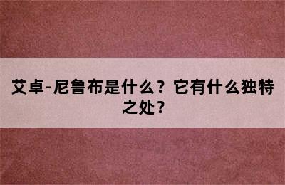 艾卓-尼鲁布是什么？它有什么独特之处？