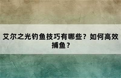 艾尔之光钓鱼技巧有哪些？如何高效捕鱼？