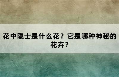 花中隐士是什么花？它是哪种神秘的花卉？