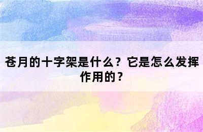 苍月的十字架是什么？它是怎么发挥作用的？