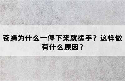 苍蝇为什么一停下来就搓手？这样做有什么原因？