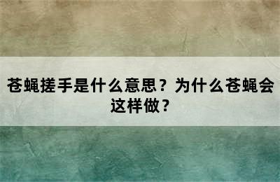 苍蝇搓手是什么意思？为什么苍蝇会这样做？