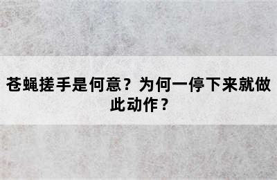 苍蝇搓手是何意？为何一停下来就做此动作？