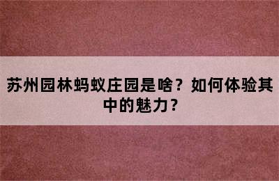 苏州园林蚂蚁庄园是啥？如何体验其中的魅力？