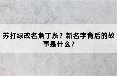 苏打绿改名魚丁糸？新名字背后的故事是什么？