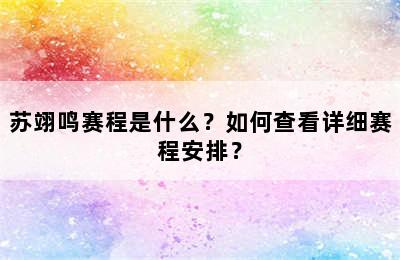 苏翊鸣赛程是什么？如何查看详细赛程安排？