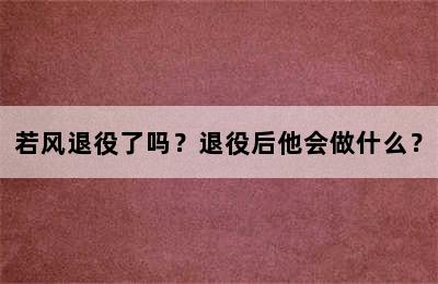 若风退役了吗？退役后他会做什么？