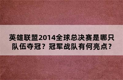 英雄联盟2014全球总决赛是哪只队伍夺冠？冠军战队有何亮点？