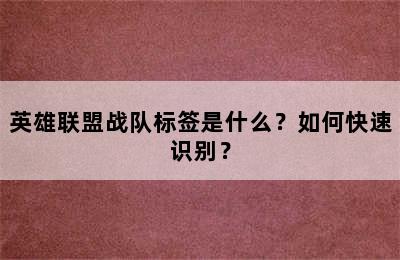 英雄联盟战队标签是什么？如何快速识别？