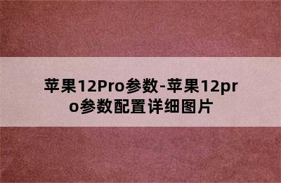 苹果12Pro参数-苹果12pro参数配置详细图片