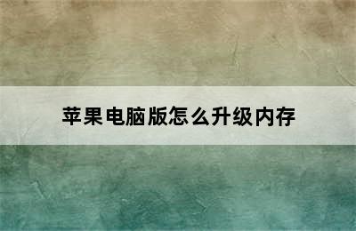 苹果电脑版怎么升级内存