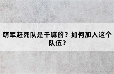 萌军赶死队是干嘛的？如何加入这个队伍？