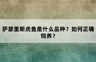 萨瑟里斯虎鱼是什么品种？如何正确饲养？