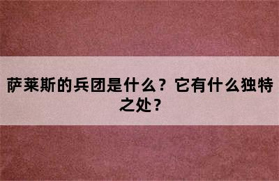 萨莱斯的兵团是什么？它有什么独特之处？