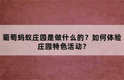 葡萄蚂蚁庄园是做什么的？如何体验庄园特色活动？