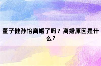 董子健孙怡离婚了吗？离婚原因是什么？