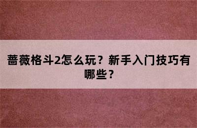 蔷薇格斗2怎么玩？新手入门技巧有哪些？