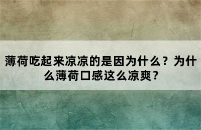 薄荷吃起来凉凉的是因为什么？为什么薄荷口感这么凉爽？