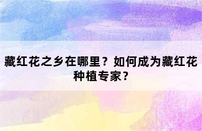 藏红花之乡在哪里？如何成为藏红花种植专家？