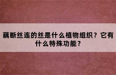 藕断丝连的丝是什么植物组织？它有什么特殊功能？