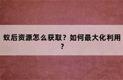 蚁后资源怎么获取？如何最大化利用？