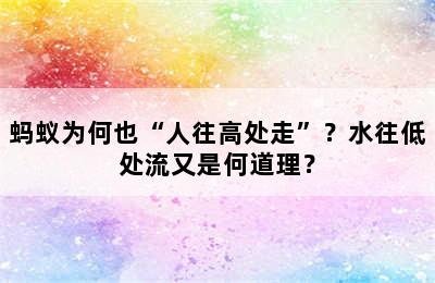 蚂蚁为何也“人往高处走”？水往低处流又是何道理？