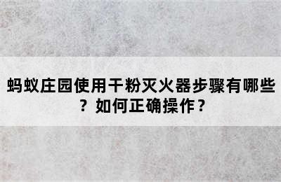 蚂蚁庄园使用干粉灭火器步骤有哪些？如何正确操作？