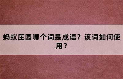 蚂蚁庄园哪个词是成语？该词如何使用？