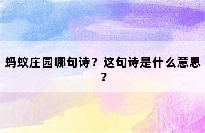 蚂蚁庄园哪句诗？这句诗是什么意思？