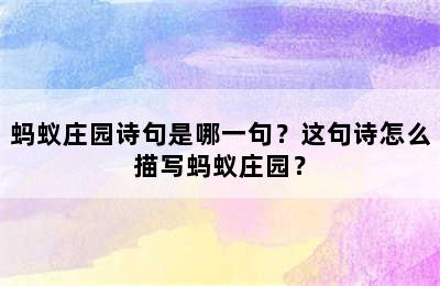 蚂蚁庄园诗句是哪一句？这句诗怎么描写蚂蚁庄园？