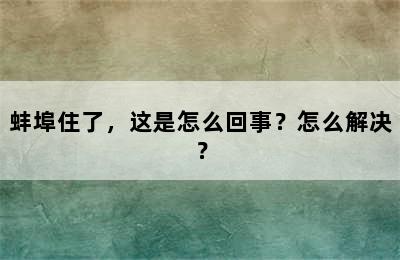 蚌埠住了，这是怎么回事？怎么解决？