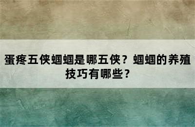 蛋疼五侠蝈蝈是哪五侠？蝈蝈的养殖技巧有哪些？