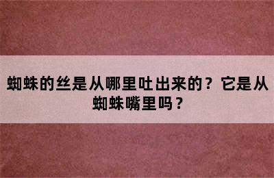 蜘蛛的丝是从哪里吐出来的？它是从蜘蛛嘴里吗？